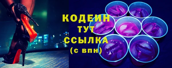 ПСИЛОЦИБИНОВЫЕ ГРИБЫ Абаза