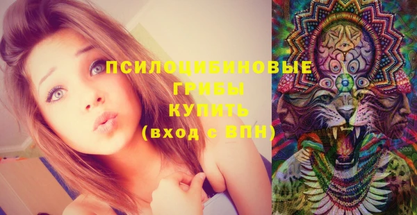 молекула духа Абдулино