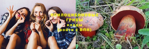 ПСИЛОЦИБИНОВЫЕ ГРИБЫ Абаза