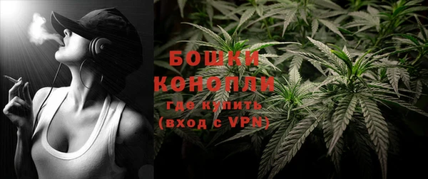 индика Покровск